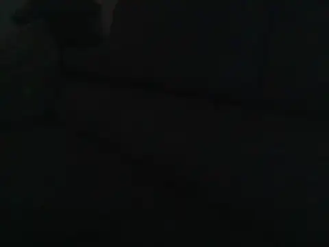 DefiniteTimor – Kamerová šou
