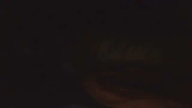 SHARPSkinhead Show in webcam