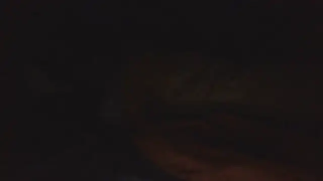 SHARPSkinhead webcam show