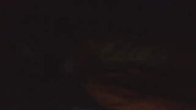 SHARPSkinhead – Live XXX-chat