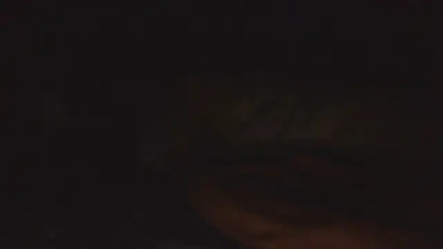 SHARPSkinhead live XXX chat