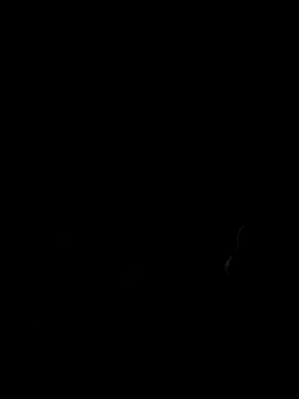 moonwood 网络视讯表演