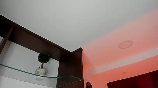AryloverX Live XXX-chat