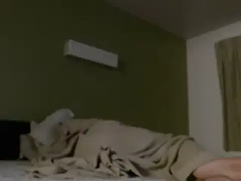 Numba1dad_ XXX чат на живо