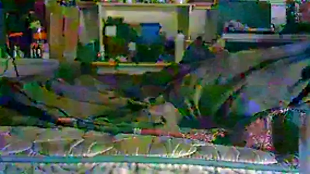 XXX chat uživo modela CR3M3_FIR3