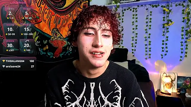 הופעת וובקאם של noynxz