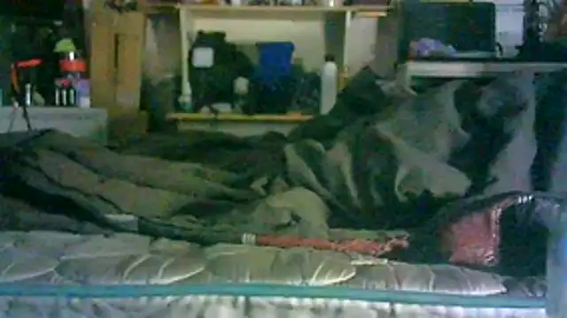 Chat XXX ao vivo de CR3M3_FIR3