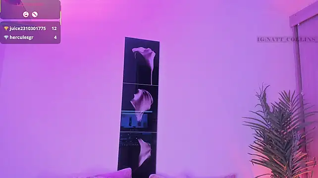 Natt_collins: απευθείας συνομιλία ΧΧΧ