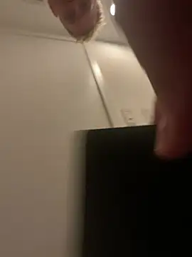 AndiSF4 Webcam-Show