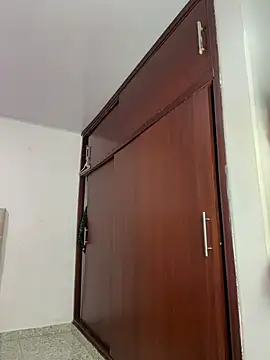Chat +18 de miacarrot ao vivo