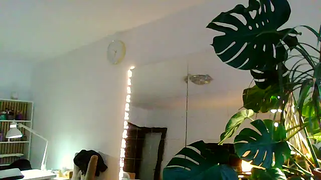 Chat XXX en directo de Ms-Lust1-
