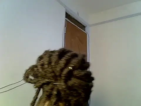 Živý XXX chat Prettybeca