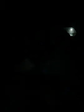 LeBimbo Chat XXX in diretta