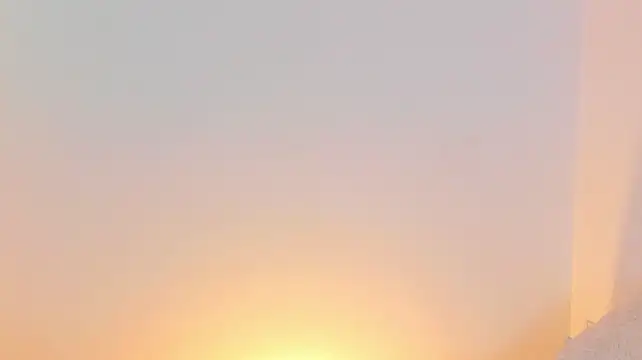 IrisBloom_ 现场XXX聊天