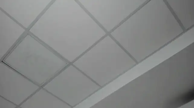 Lucy_Grayyyn Live XXX chat