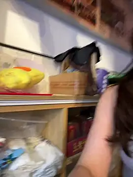צ'אט XXX בשידור חי של huihui_520