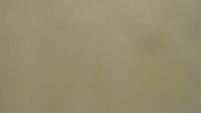 Chat XXX en directo de SEXaddictCANDY10