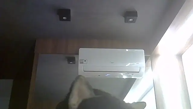 SkinnyKitten Live XXX Chat