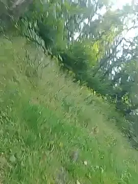 XXX chat uživo modela LimpingLash803
