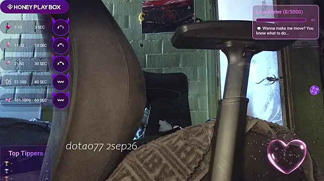 doTao7 Show in webcam