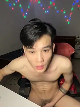 LTMinh08 Show in webcam