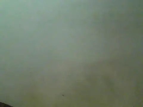 Foxboy65 élő XXX-chatje