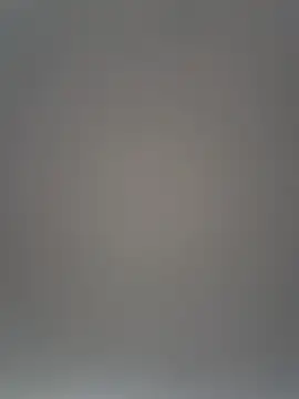 -Bongg- Show Webcam