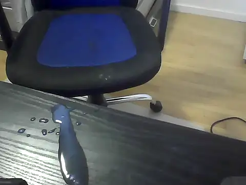 Pertunjukan Kamera Web vogonche