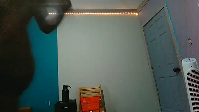 Chat XXX en directo de ReallyReallyReal