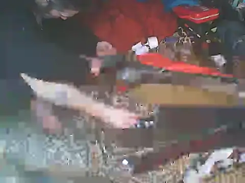 JJBATS Webcam show