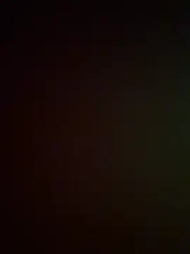 Show webcam de DarkfleX