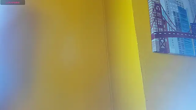הופעת וובקאם של shelby_col