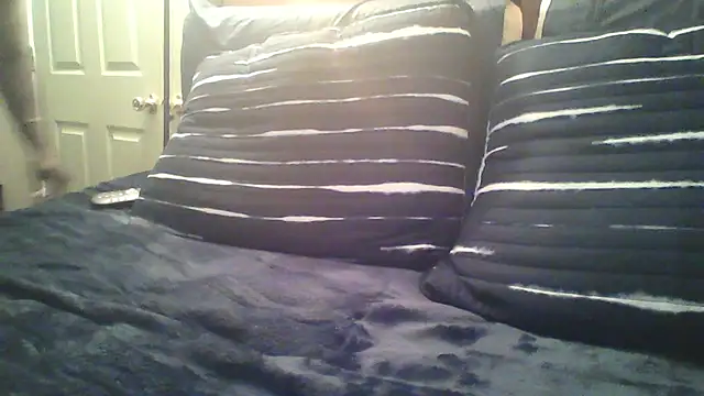 Pabazthal's Webcam Show