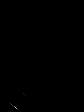 Fjcos Webcam Show