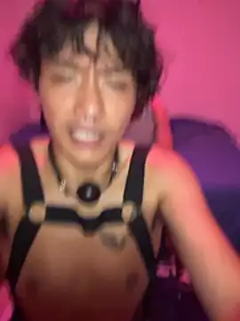 TonnyBottom Webcam Show
