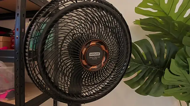 KaliBloom's Live XXX Chat