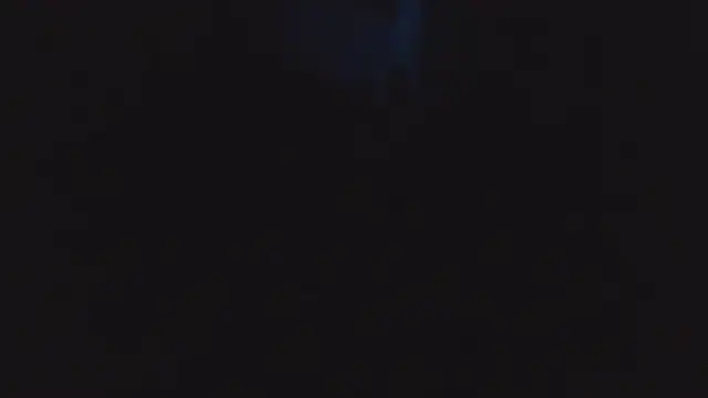 SHARPSkinheadn Webbikameraesitys