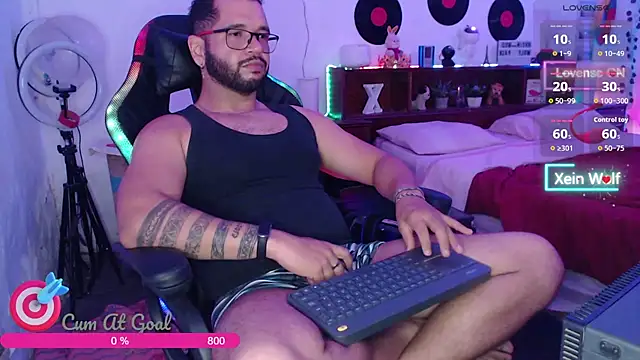 צ'אט XXX בשידור חי של Xein_WoIf