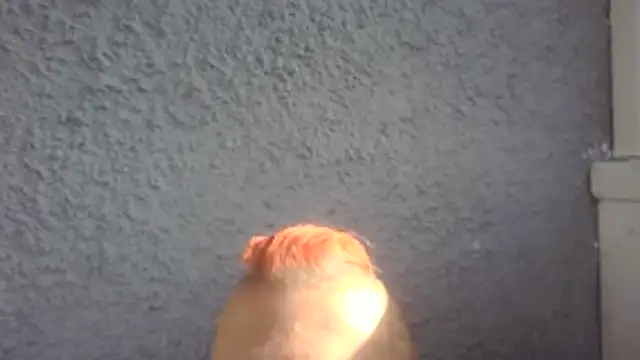 Pokazy przed kamerką – SHARPSkinhead