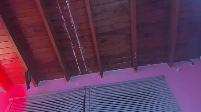 AriOliveira 现场XXX聊天