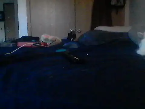 Chat +18 de Silencio26 ao vivo