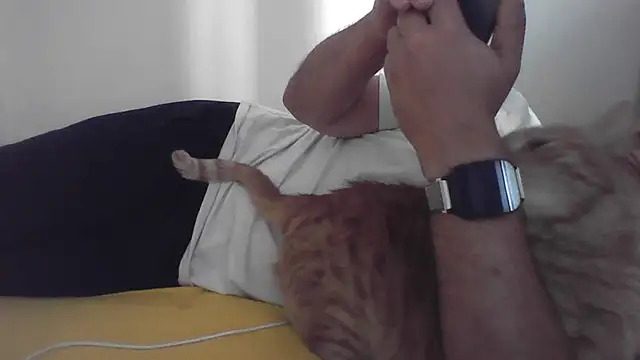 عرض كام HotwifeAvcisiOlgunAdam