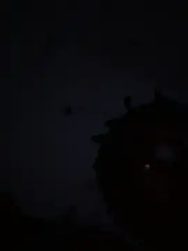 Triggerhappycj100 Show in webcam