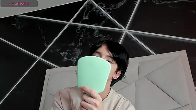 Show Webcam de AerumChae
