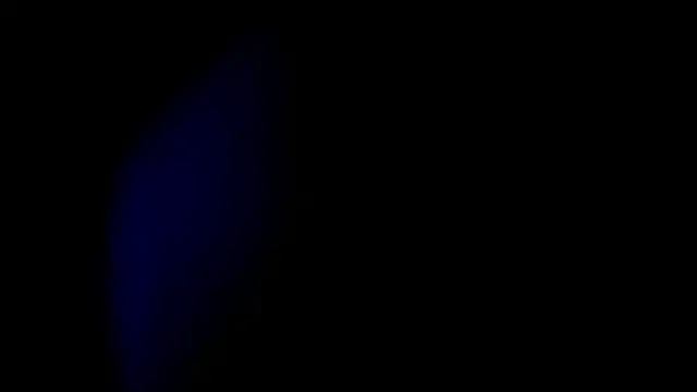 real_ci45 现场XXX聊天