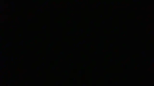 NuttyProfesir Obrolan Langsung XXX