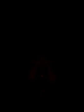 Douhuan 现场XXX聊天