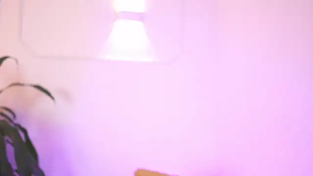 Živý XXX chat AliiceWonderland_