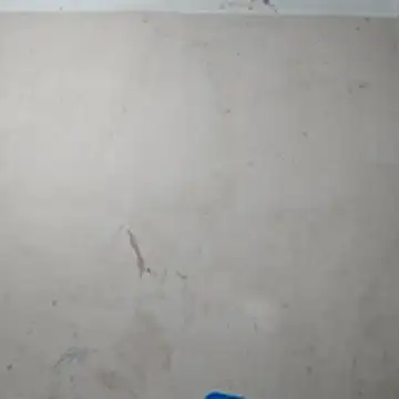 Chat +18 de Arabprinceofslv ao vivo