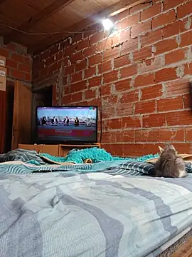 Chat +18 de luiscasco387 ao vivo